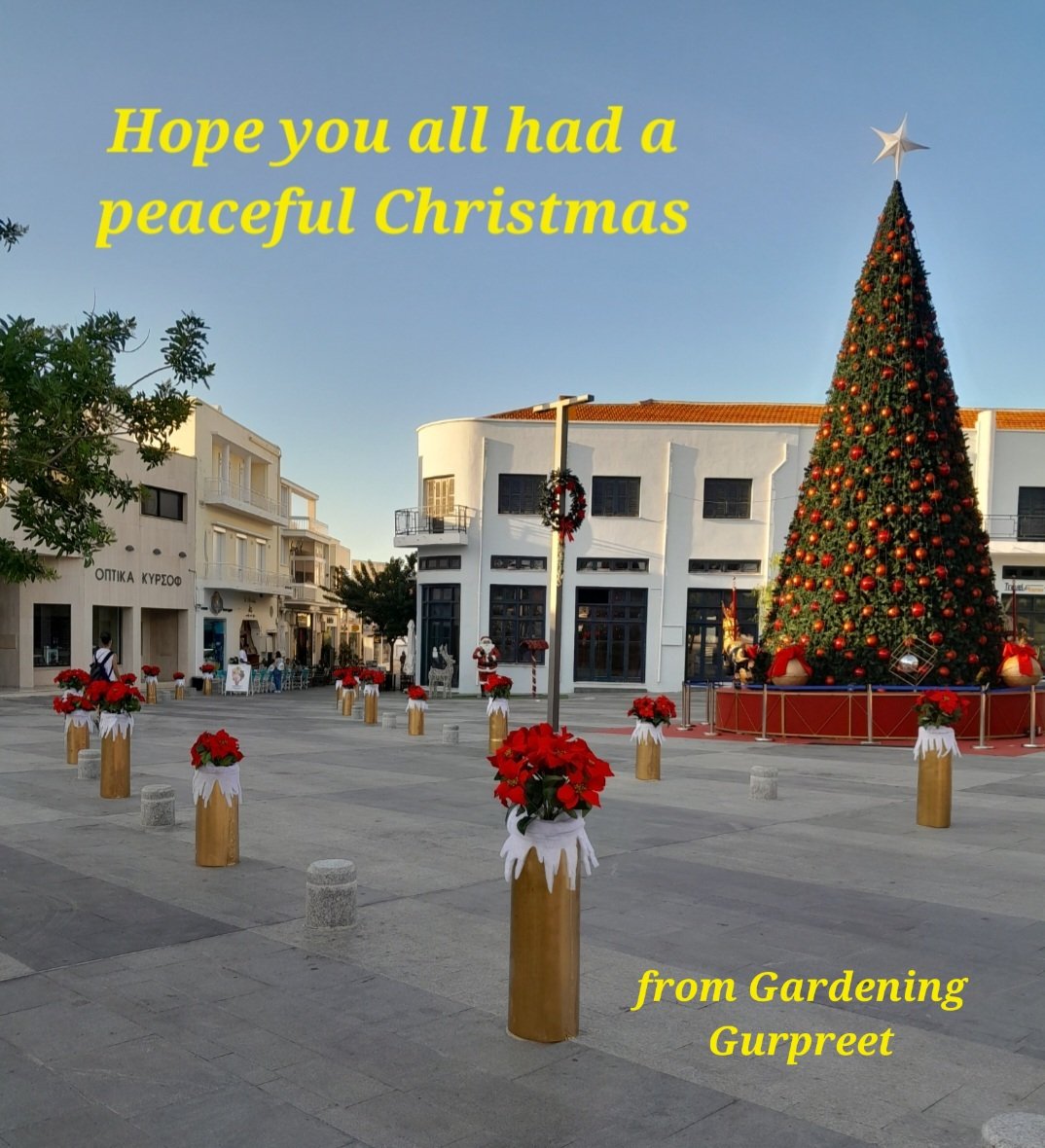 gardening gurpreet (@gardeninggurpr1) on Twitter photo 
