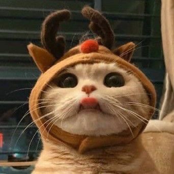 Merry Christmas everyone <3
