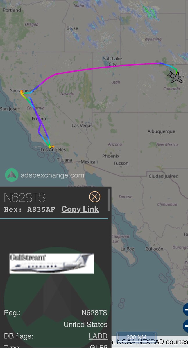 Skuntle Bingoid, Harbinger Of Cringe 💥 on Twitter "RT ElonJetNextDay