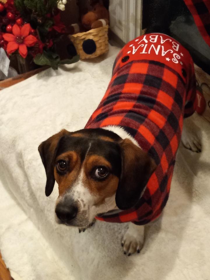 💪NR1Z SAT/HF CW-SSB-FM-DIGITAL💪 (@nr1z_sat_cw) on Twitter photo 