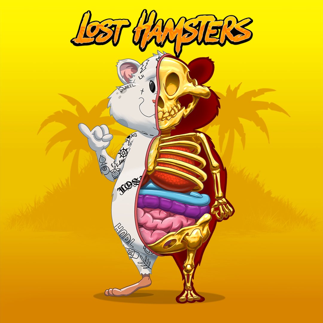Max - Lost Hamsters - 🐹 tweet media