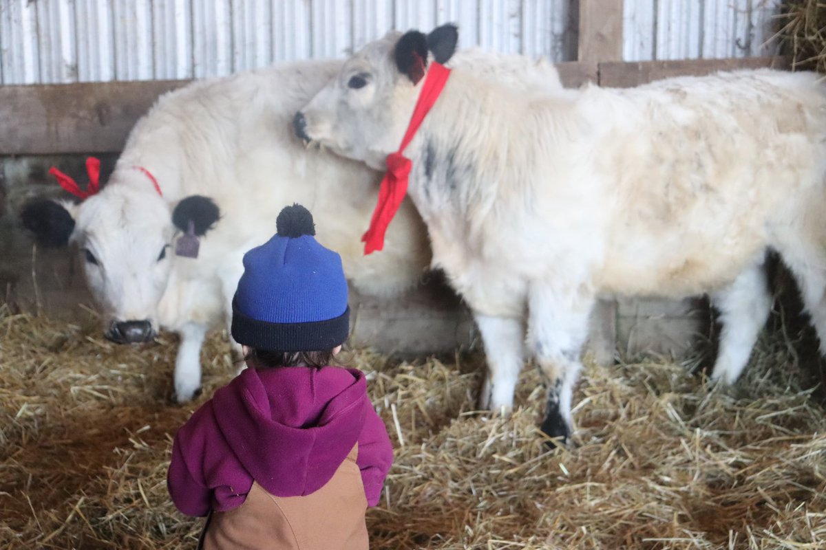 Merry Christmas! Had to take the boss out of unwrap the last of her presents in the barn.