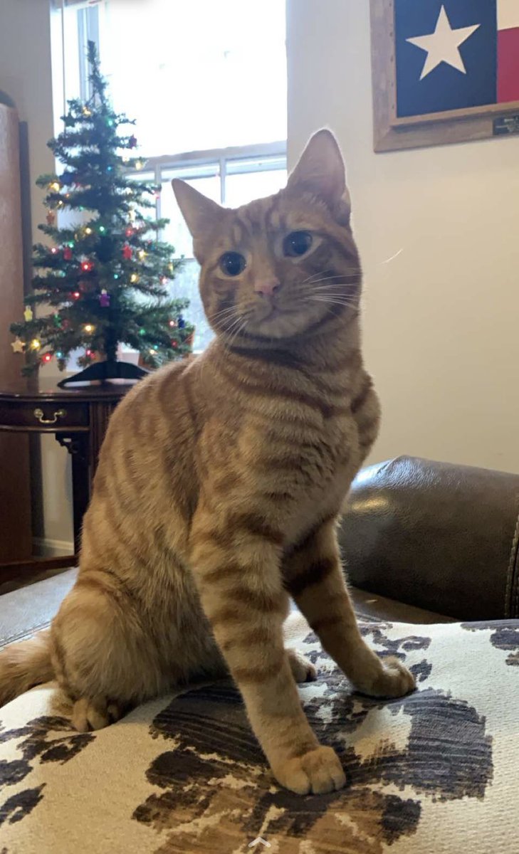 Jason Vail tweet media