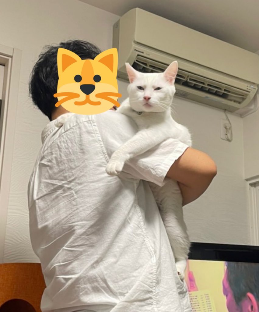 ぬっふぃー tweet media