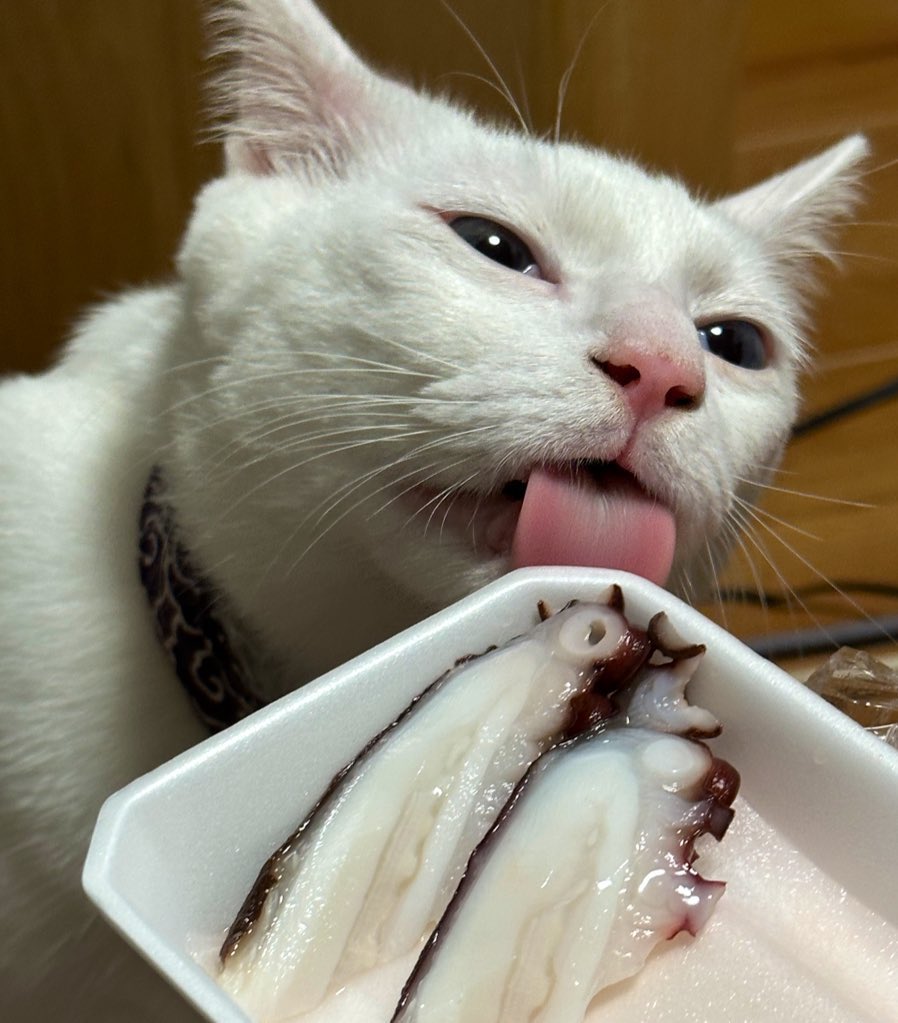 ぬっふぃー tweet media