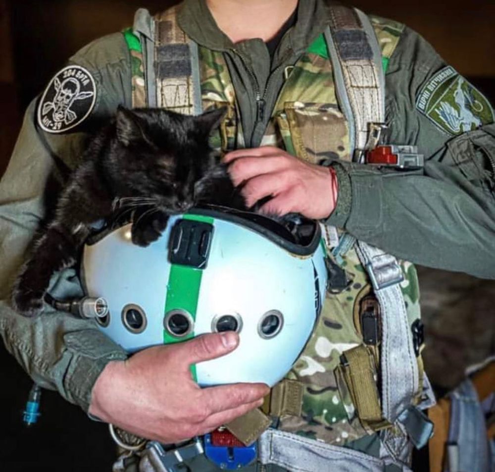 LJLMD's tweet photo. Ukrainian Combat Aviation pilot and his friend.
#ukraine #walterreport #christmas #news #photography #postphotos #cats #pets https://t.co/6mGSuyyQTv