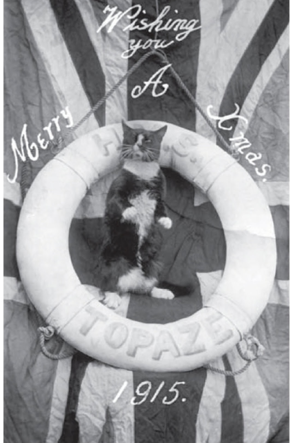 A 1915 Christmas postcard of the ship's cat on the cruiser HMS Topaze. Cats were common on Royal Navy ships during the First World War, and postcards featuring the mascots became very popular.
#Caturday