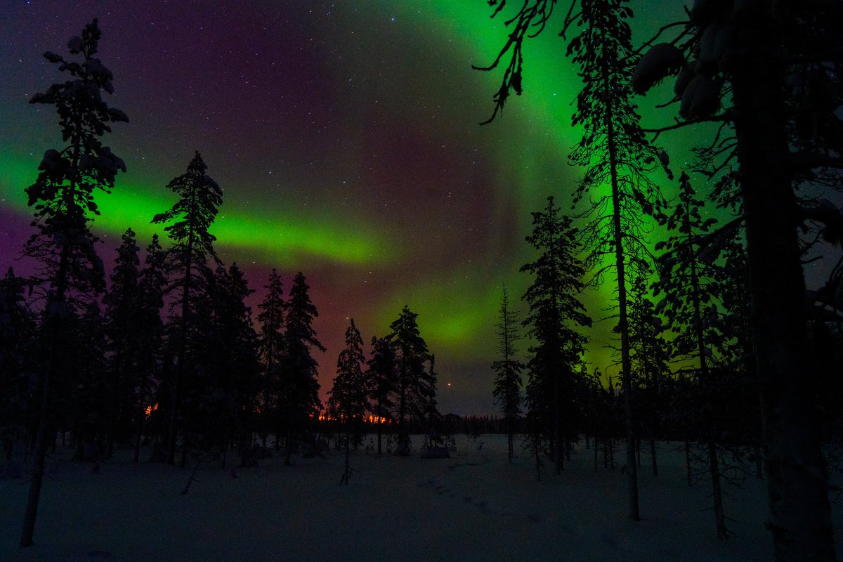 panzakk's tweet image. c’est la première fois que je prends en photo des aurores boréales, heureusement que je me suis renseigné sur comment les prendre avant #laponie #yllas