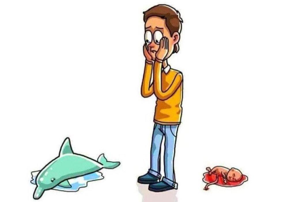 La hipocresía de los activistas de los derechos de los animales...