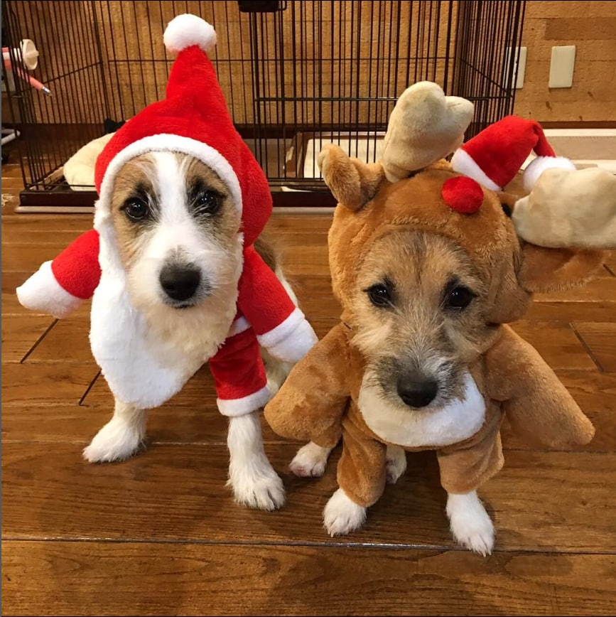 Christmas is only with you