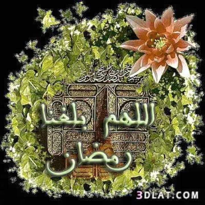 ـ ┓━━━━🕌🕋🕌━━━━┏
ـ 🤲آلََلََهّّمًً آمًًيََنِِ يََــآربًً آلََعٌٌآلََمًًيََنِِ🤲
ـ ┛━━━━🕌🕋🕌━━━━┗