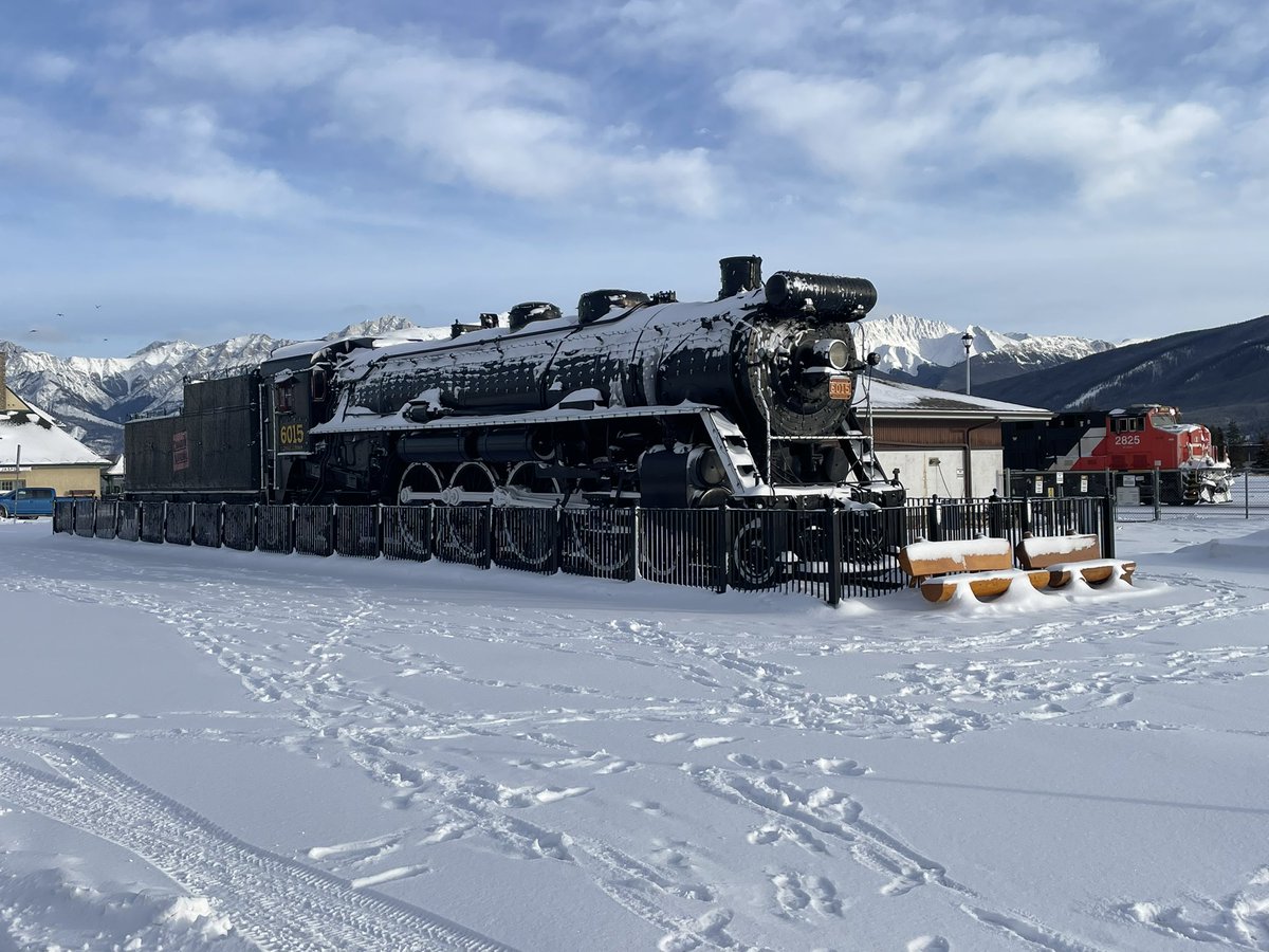 Happy Christmas. Having a wonderful time with the <a href="/GreatRail/">Great Rail Journeys</a> group in Canada #greatrailjourneys #canada #christmas #elk