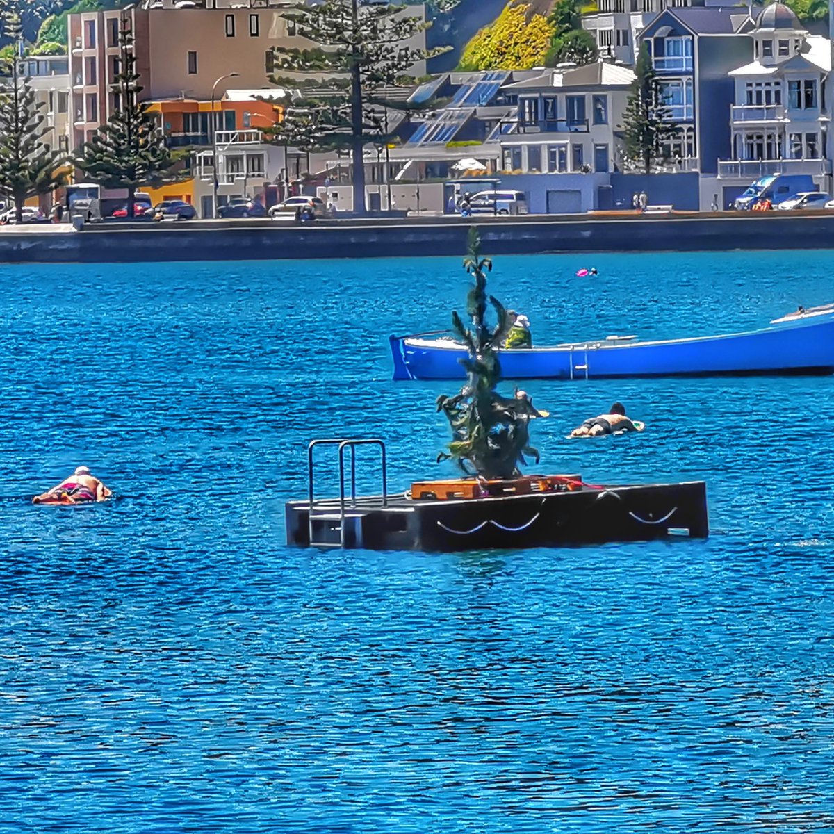 WildBayNZ's tweet photo. Who ever had the idea of putting s Xmas Tree onto the diving platform @OrientalBayNZ i salute  you. 
 What a fantastic idea.
#Orientalparade
#OrientalBay
#XmasTree
#DivingPlatform https://t.co/dKBiNaLyFX
