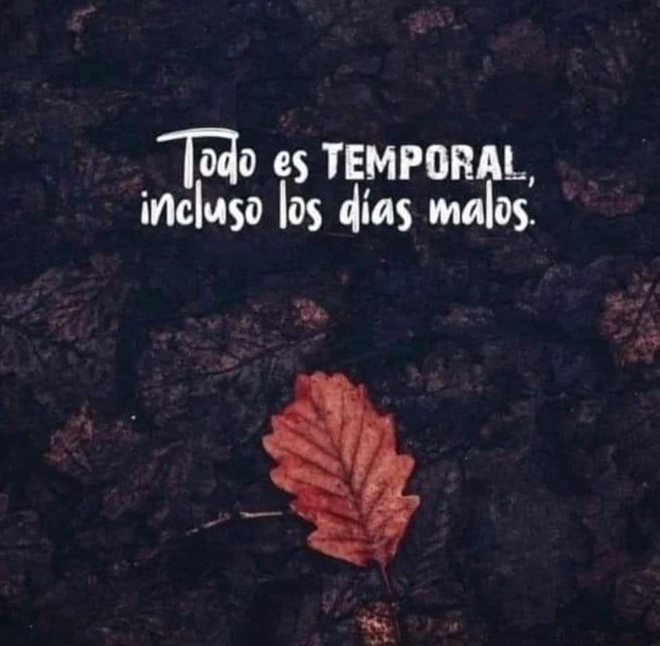 DomnguezMLaura's tweet photo. https://t.co/hE17vTlq8s