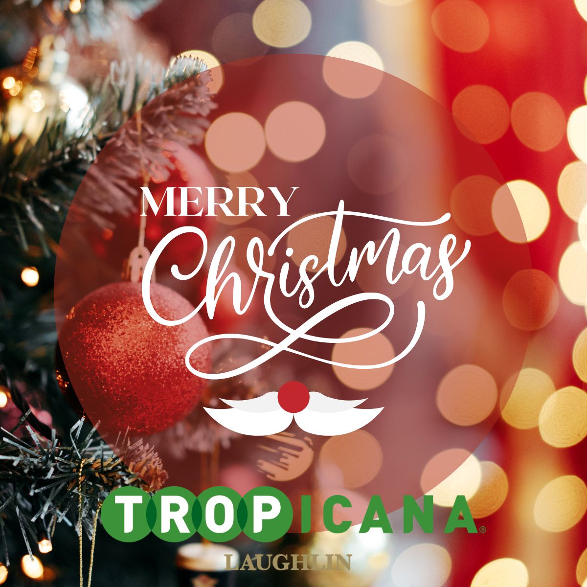 Merry Christmas 💚