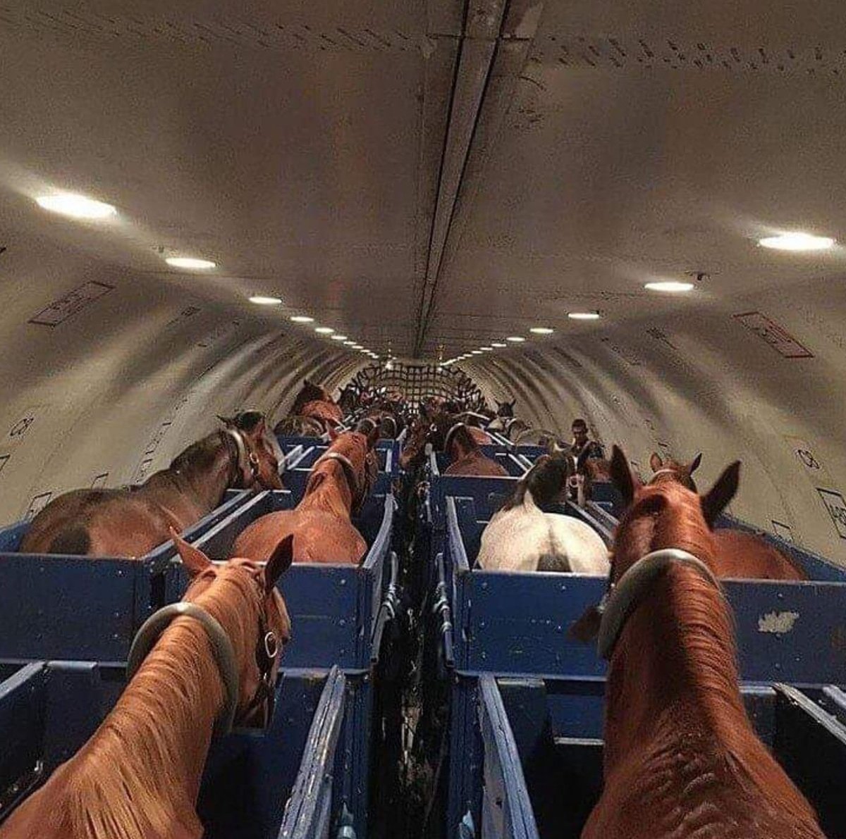 bro I think I booked the wrong flight