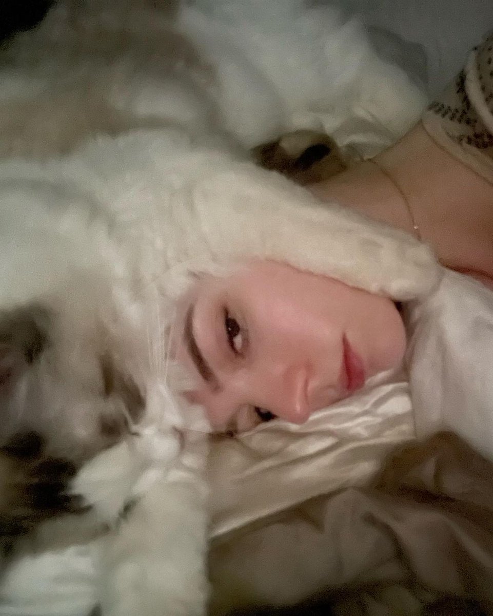 ClxoArcher's tweet photo. . 　　 　　　　　. 　　　 
 ⋆  ·  ˚ 　　　  　
   ·　 · 
　 ✹ .  ⋆ ·  　 * 　 ✧
 ✦ 　 　 · 　　　 　　　　
 * 　　　 　　 　　　　 ˚ https://t.co/fiDl5PHyq1