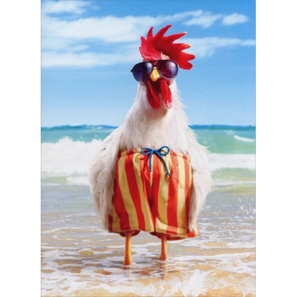 PacificCrestSB's tweet photo. Merry Christmas Day!!  Hope everyone has enjoyed time with friends and family.  Now get to the beach, chicken legs and all!!! #pacificcresthotel #santabarbara #beach #visitsantabarbara https://t.co/essqgkKmjS