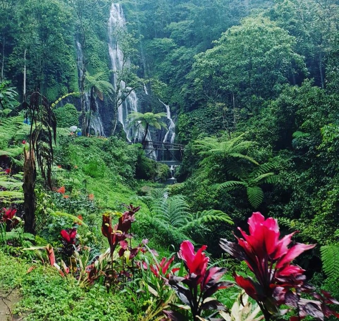 Sumeet_11's tweet photo. Tropical Bliss at Twin Waterfalls https://t.co/1N8j8ShKaw