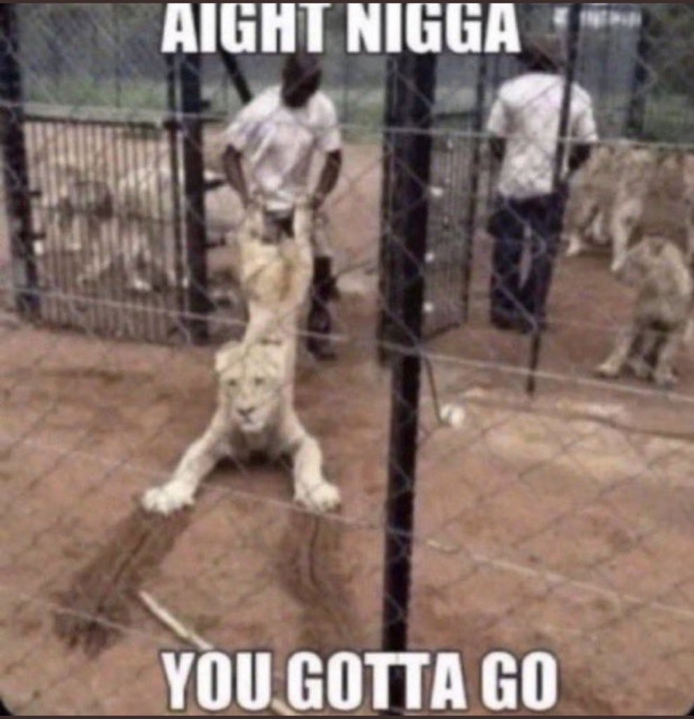 Abdelrahman Wael tweet media