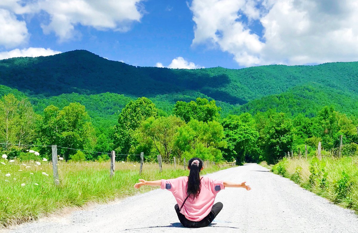 不吃豆的豆 tweet media