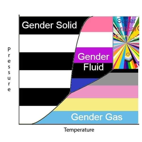 LGBP-T phase diagram