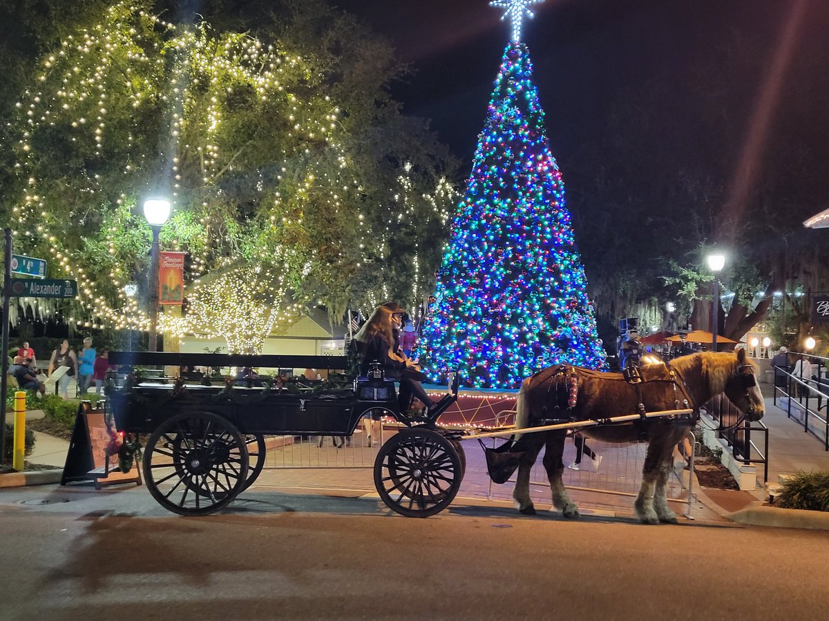 Merry Christmas from Mount Dora.