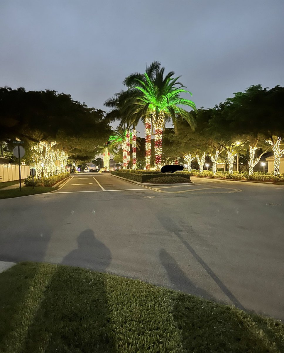 DwayneMClarke's tweet photo. Out for a walk and saw some beautiful lights! https://t.co/IprPxUOtV2