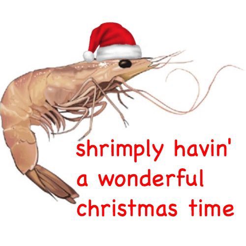 ✨🦐 happy holidays 🦐✨ https://t.co/H0UrfDXZXh<a href="/tag/bbtag"class="tags"><span>#bbtag</span></a>