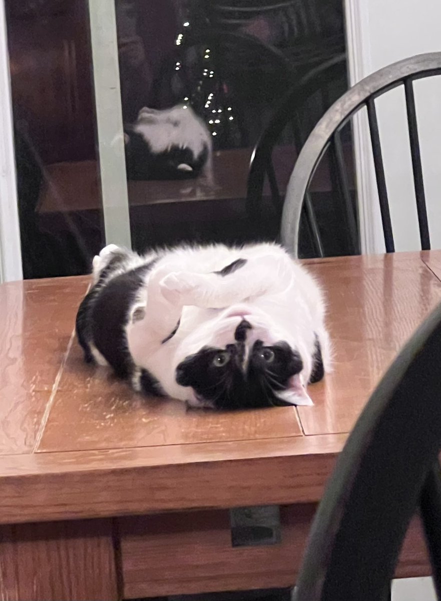 Mom says I’m seeking attention, I think I’m just comfortable.