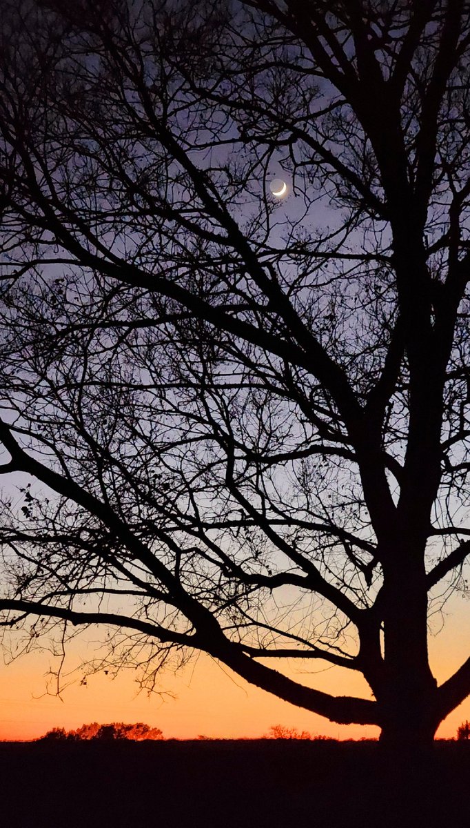 kelannrob's tweet photo. Thanks for helping us get through the COLD @KBTXShel, @KBTXWeather and the rest of the @KBTXNews team. Hope your holidays were warm and safe! #ChristmasSunset https://t.co/8uH9PI3ycl