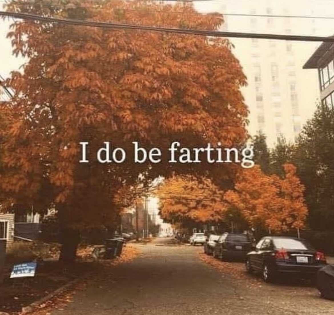 trofty_'s tweet image. Merry Christmas