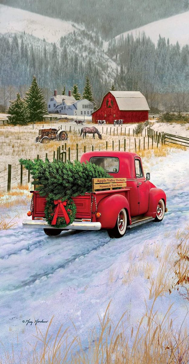 CambraMike's tweet photo. @elonmusk Merry Christmas https://t.co/1ikZqs97F9