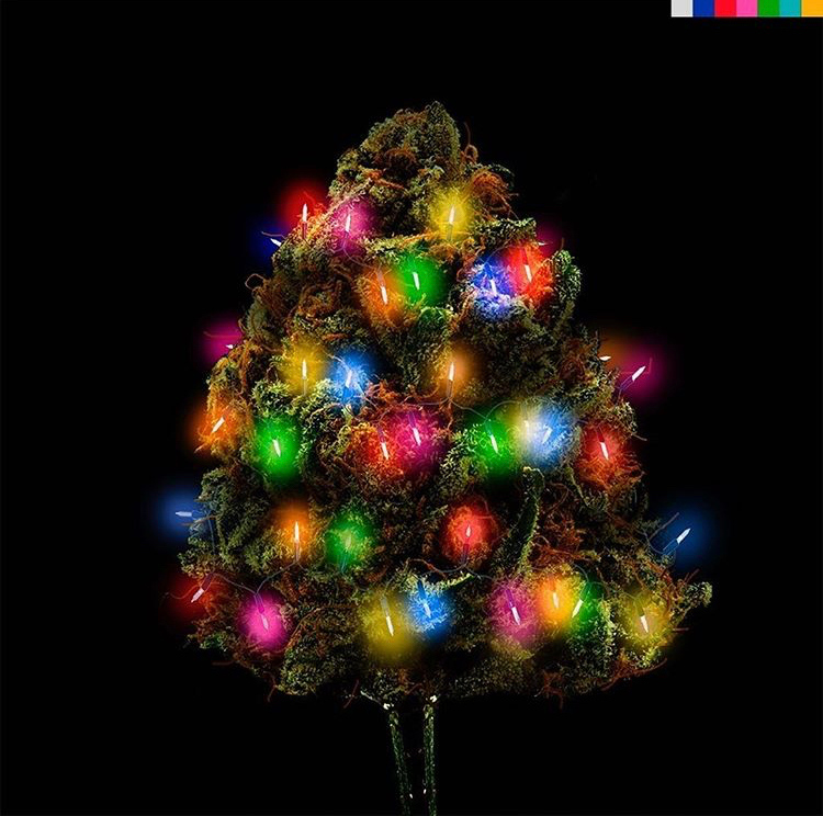 📸 : <a href="/aliossayran/">Ali ☻ssayran</a>