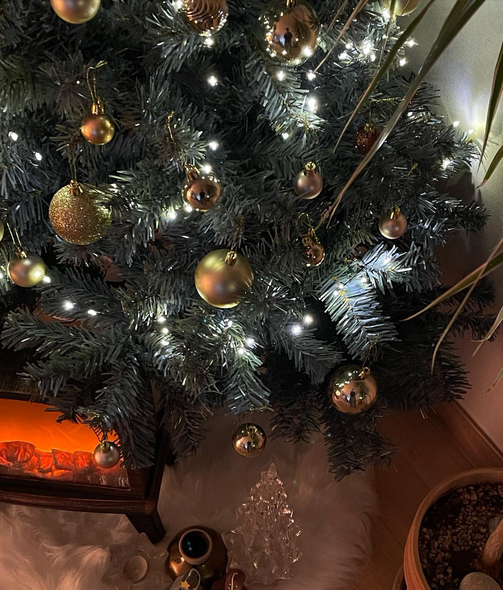 ㅤㅤ
ㅤ⭏ ͎𝗣𝗥𝗢𝗙𝗜𝗟𝗘 𝘂𝗽𝗱𝗮𝘁𝗲_
ㅤㅤㅤㅤㅤ﹫𝗗∅𝗗ㅤ⨾
Christmas's appreciation post 🎄🎃🖤
ㅤ