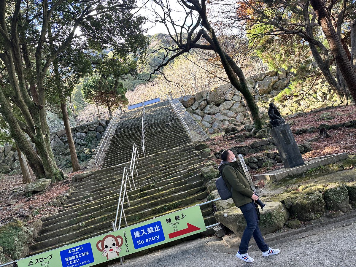 dddaiki1216's tweet photo. さる https://t.co/9SBJaMGjBg