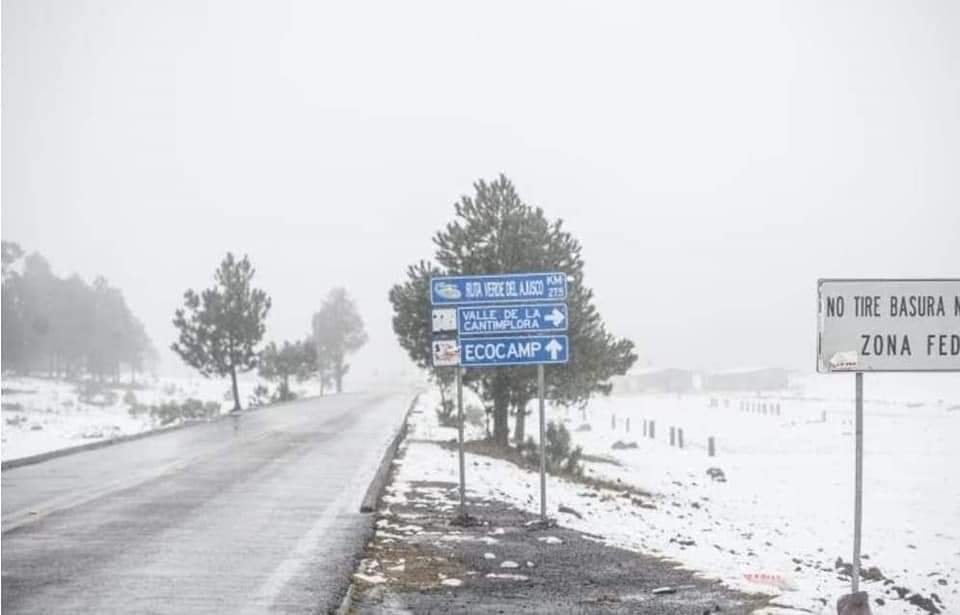 InfoMeteoro's tweet photo. ❇️Más bellas postales de nevadas ahora en #CDMX por el #TiempoInvernal❄️

☃️El #Ajusco se pinta de blanco con fuerte nevada, así como otras zonas montañosas de alcaldías como M. Contreras, Cuajimalpa, A. Obregón y Milpa Alta con altitud mayor a 3100 m🥶

📸@corenadr https://t.co/1mPnNxkqYl