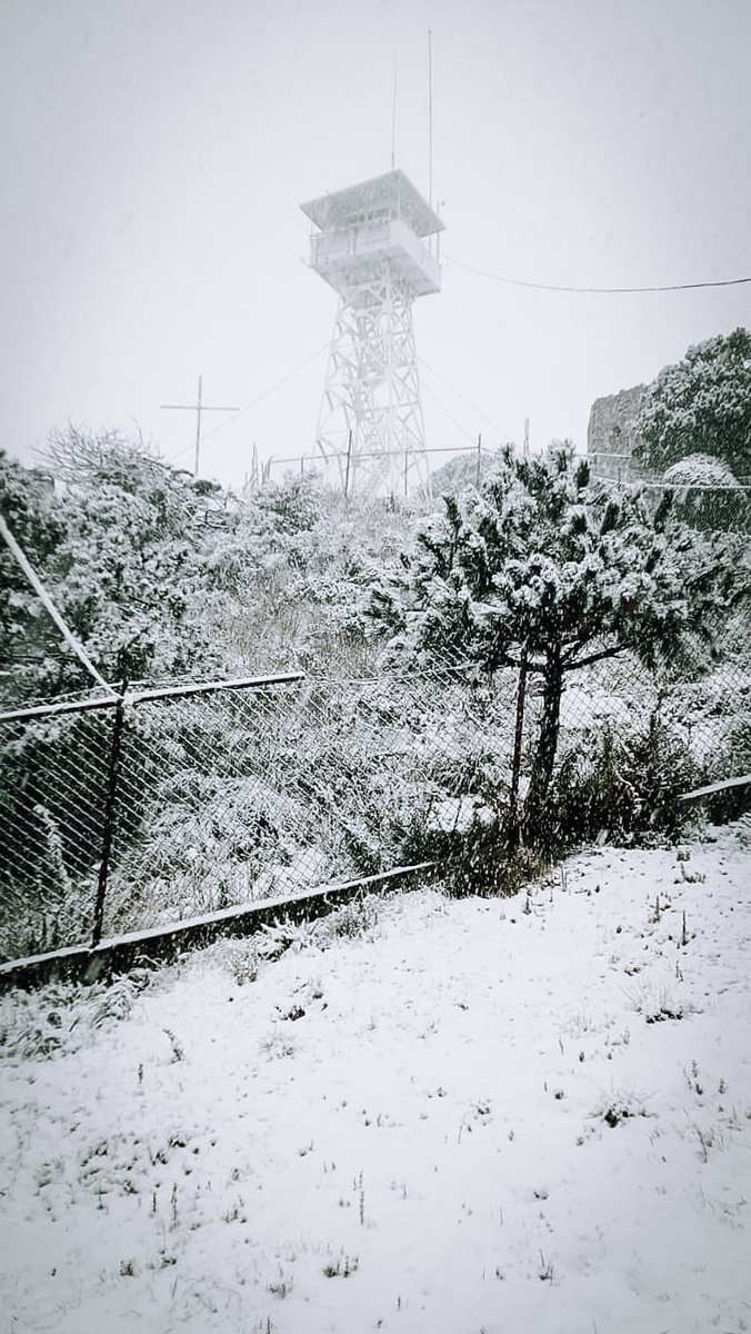 InfoMeteoro's tweet photo. ❇️Más bellas postales de nevadas ahora en #CDMX por el #TiempoInvernal❄️

☃️El #Ajusco se pinta de blanco con fuerte nevada, así como otras zonas montañosas de alcaldías como M. Contreras, Cuajimalpa, A. Obregón y Milpa Alta con altitud mayor a 3100 m🥶

📸@corenadr https://t.co/1mPnNxkqYl