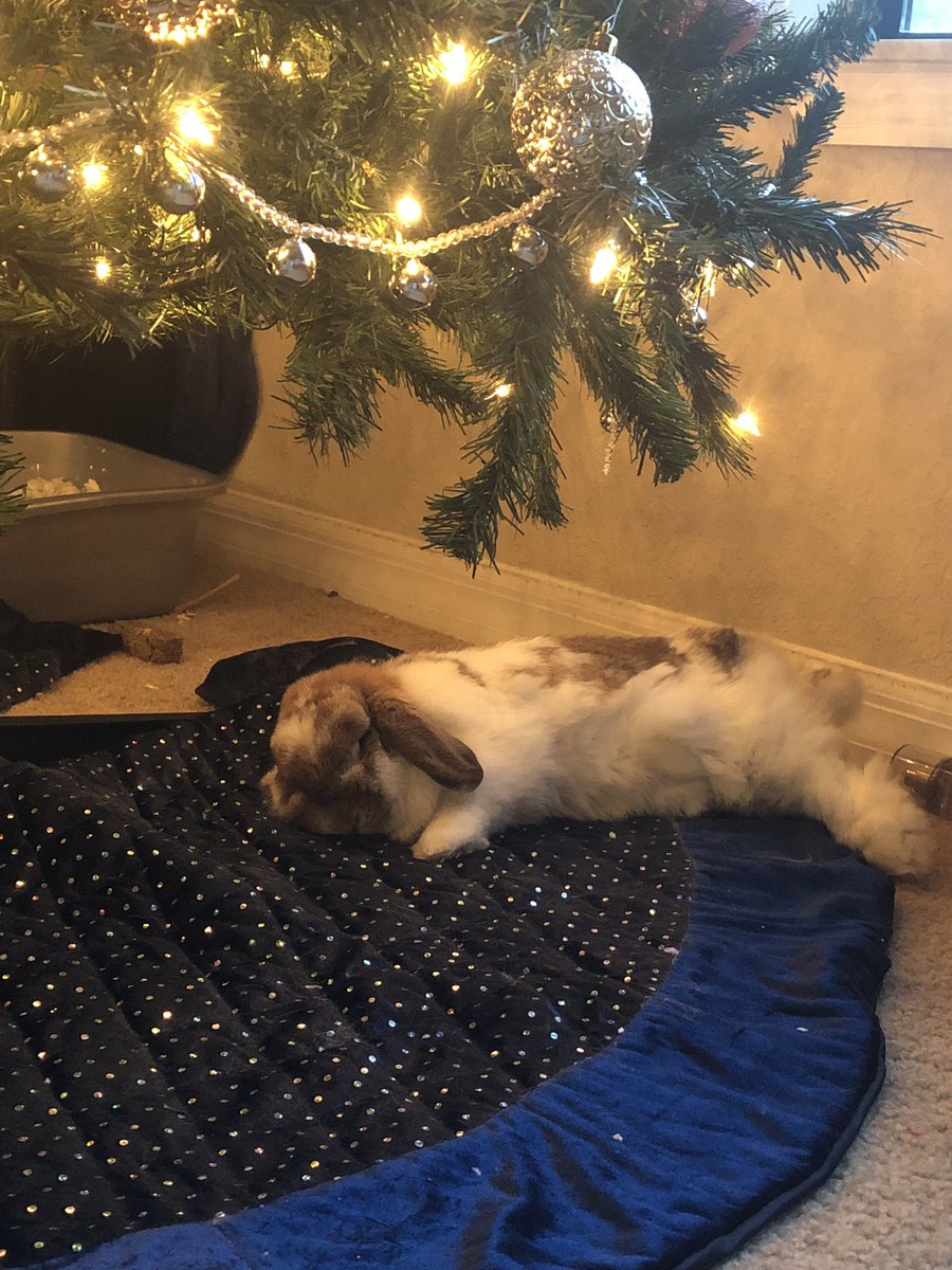 It was a big day for her. 🥰