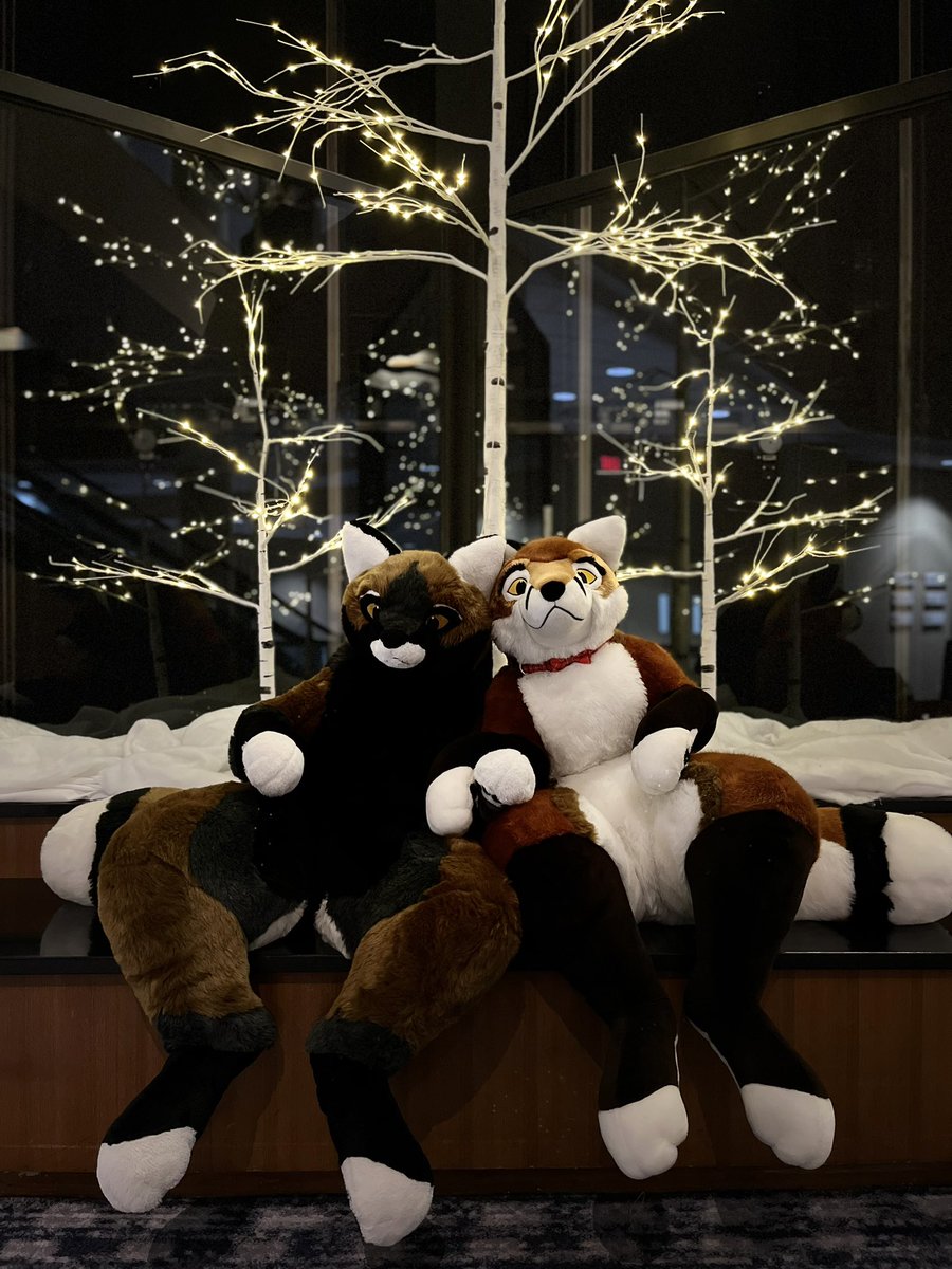 Met up with @GunthyBear to warm our paws after a chilly #MerryChristmas day <a href="/FurtheMore/">Fur the More #furmore #furmore13</a> what lovely scenery