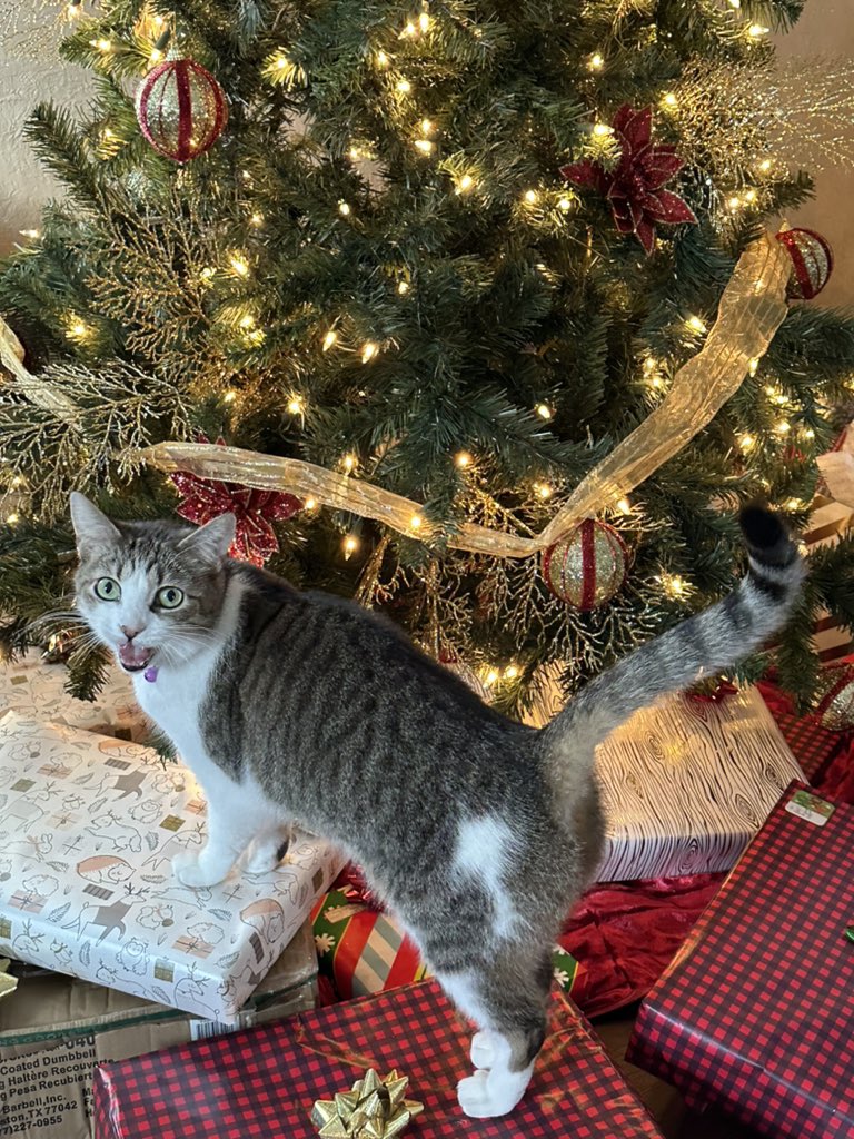 KyleeKupkake's tweet photo. PRESENTS!!!! https://t.co/rJpPwQCUNw