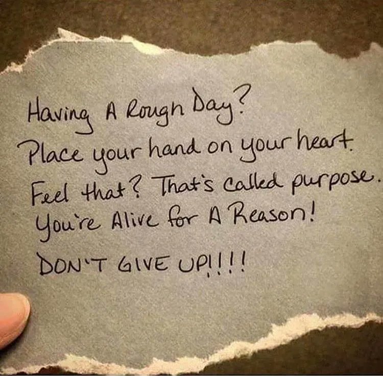 iamfearlesssoul tweet picture