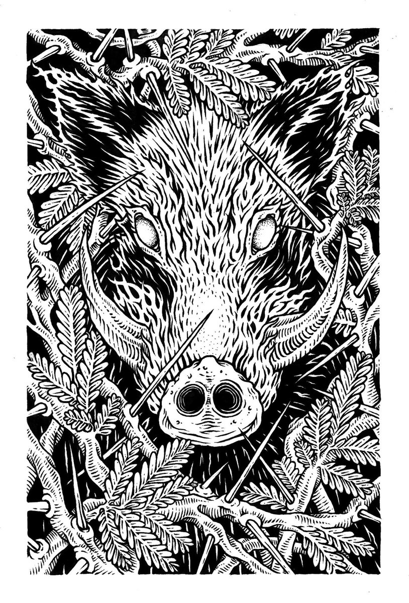 Boar in Huisache - a native Texas thorny plant we have here. Illustrated for a Christmas card this year. 5.5" x 8"