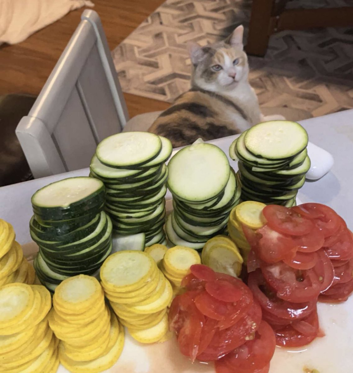 fatfatpankocat's tweet photo. Upset ratatouille includes no rats https://t.co/i7pSiDu4Xx