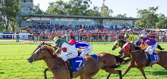 ozrace's tweet photo. Boxing Day racing @ Pinjarra / Albany / Esperance

Tips online from Ernie Manning &amp; Ben Armstrong... 

👉 https://t.co/ob1i8doTDk 

@PinjarraPark @AlbanyRacing #EsperanceRacing
@TAB_touch @TheRacesWA #WARacing https://t.co/cPuQb759AG