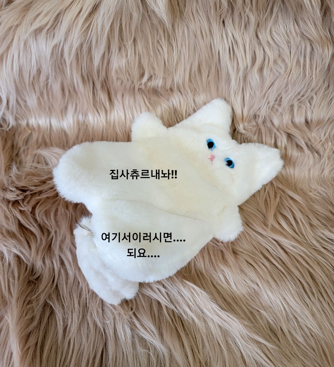tulzzini's tweet photo. 대체 오늘이 왜 대체공휴일이 아닌거지 기분도 안좋은데 확대털찐냥 파우치나 ���았으면... 팔로우 알티 이벵!

팔로알티 해주시는 한분께 확대털찐냥파우치 보내드려요~(흰색에하늘색눈)

29일 오후 11시50분까지
당발 30일 오전 디엠 드려요

⛔인형아니구 파우치 입니다 https://t.co/am2y5258hQ
