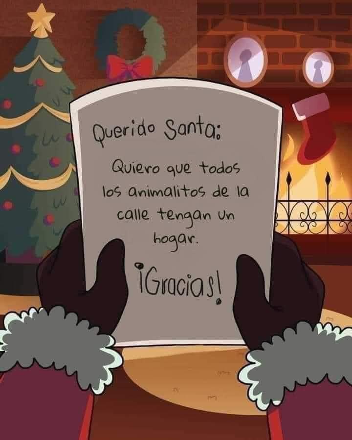 CasaRoly's tweet photo. Feliz navidad a los callejeritos en el mundo https://t.co/9pKJXQPeeM