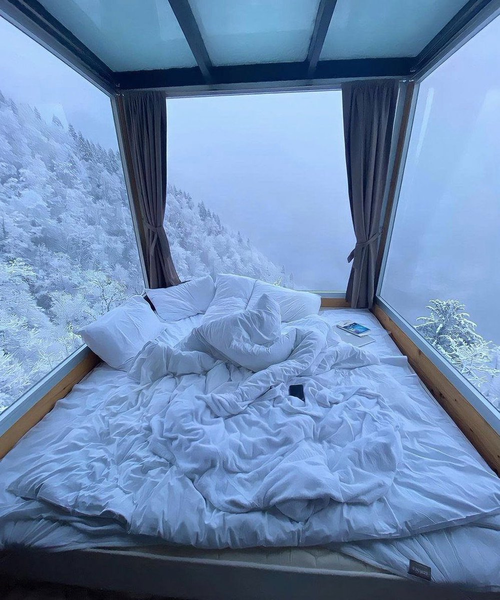 amidst all the pics of family / friend Christmas cheer, it is also totally okay if you want to be / are alone and revel in being here by yourself instead: