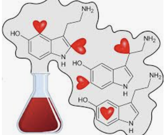 ecalixto's tweet photo. El amor se siente: dopamina
el amor emociona: adrenalina
el amor es adicción: endorfina
el amor une: oxitocina
el amor no olvida: acetilcolina
el amor obsesiona: serotonina
el amor es una reacción química en el cerebro
#NeuroTuit https://t.co/vvDdO9Xjtj