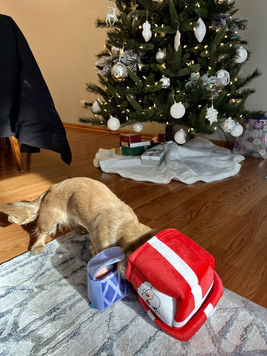KellyPawelko's tweet photo. Merry Christmas to all who celebrate 🎅🏼 https://t.co/bW1qBlmuvj